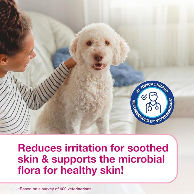 Douxo S3 Calm Dog Shampoo for Itchy Skin Relief, Dog Shampoo for Allergies and Itching, Soothes Itchy, Irritated or Allergic Skin For Dogs and Cats, 16.9 fl oz