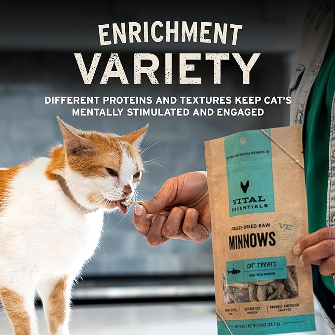 Vital Essentials Freeze Dried Cat Treats | Chicken Breast, Single Ingredient | Premium Quality | Grain Free, Healthy Treats for Cats, 4 oz Bag