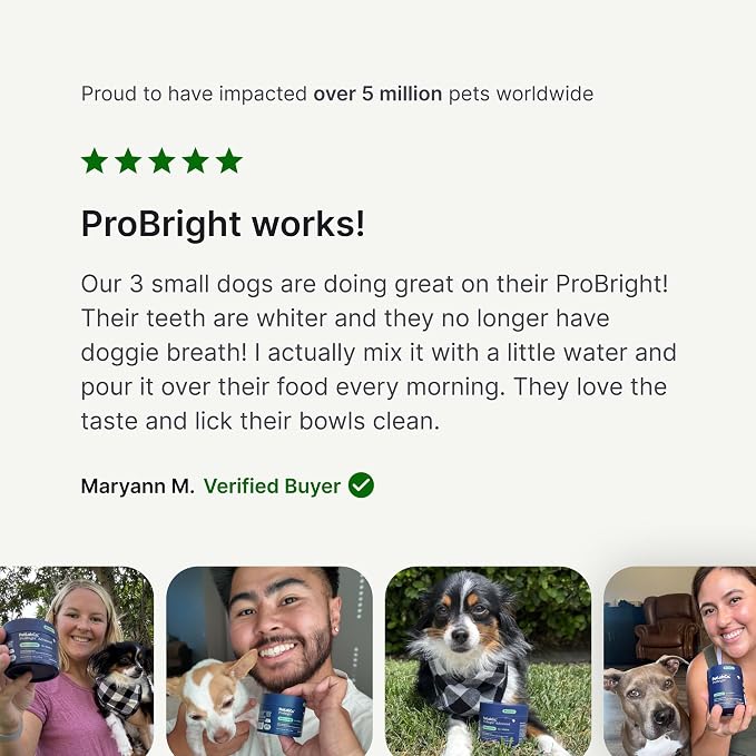 PetLab Co. ProBright Dental Powder - Dog Breath Freshener - Teeth Cleaning Made Easy – Targets Tartar & Bad Breath - Formulated for Extra Small Dogs - Packaging May Vary