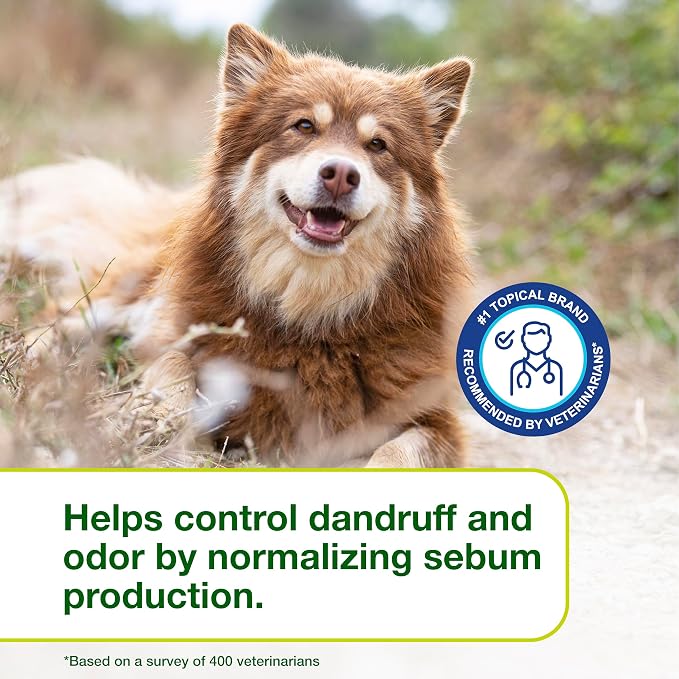 Douxo S3 SEB Dog Seboregulating Shampoo, Seborrhea Treatment for Dogs & Cats, Helps Control Dandruff, Unpleasant Odors & Oily/Flaky Skin, 0.5% Ophytrium, 16.9 fl oz
