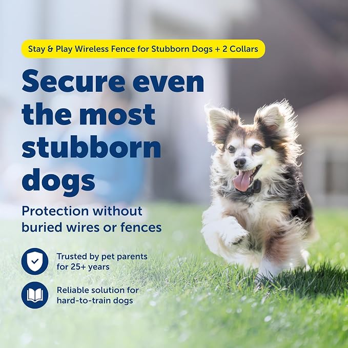 PetSafe Stay & Play Wireless 2-Dog Fence for Stubborn Dogs No Wire Covers 3/4-Acre Yard for Pets 5 lb. and Up Portable from the Parent Company of Invisible Fence Brand