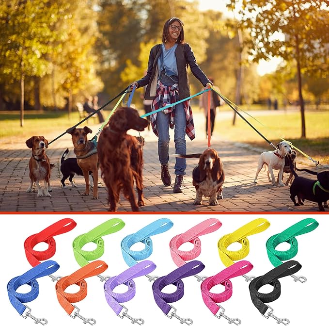 Hillban 12 Pcs Nylon Puppy Training Leash Bulk 5ft Dog Leash for House Line 12 Colors Puppy Line Traction Rope for Small Medium Dog Training, Play, Camping, or Backyard(Modern Colors)