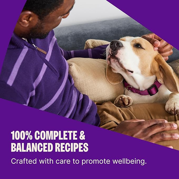 Wellness Complete Health Adult Dry Dog Food, Wholesome Grain Kibble, Natural, Lamb and Barley Recipe, 5 lb Bag