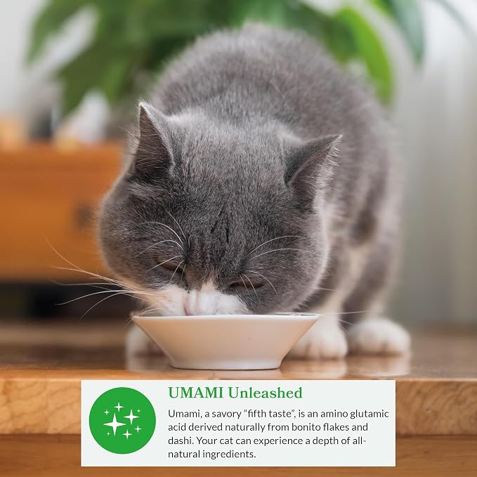 INABA Dashi Delights for Cats, Shredded Chicken Side Dish with Bonito Flake Broth, Cat Food Complement with Taurine & Green Tea Extract, 2.5 Ounce Cup, 12 Cups Total, Chicken Variety