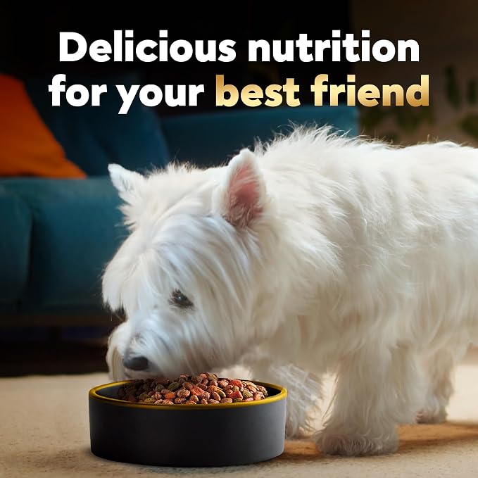 Cesar Small Breed Dry Dog Food for Small Dogs, Filet Mignon Flavor and Spring Vegetables Garnish, 12 lb Bag