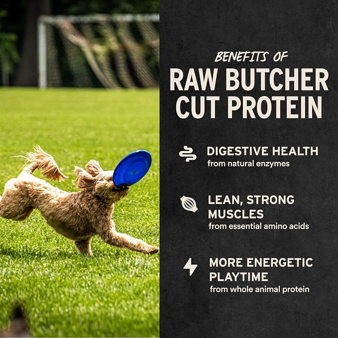 Vital Essentials Freeze Dried Raw Duck Hearts Dog Treats | Single Ingredient | Premium Quality | Grain Free Treats for Dogs, 3.5 oz Bag