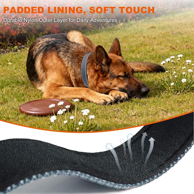 Taglory Reflective Dog Collar for Extra Large Dogs, Soft Neoprene Padded with Escape-Proof Locking Buckle, Upgraded Zinc Alloy Ring, Adjustable for Daily Walking, Grey,XL