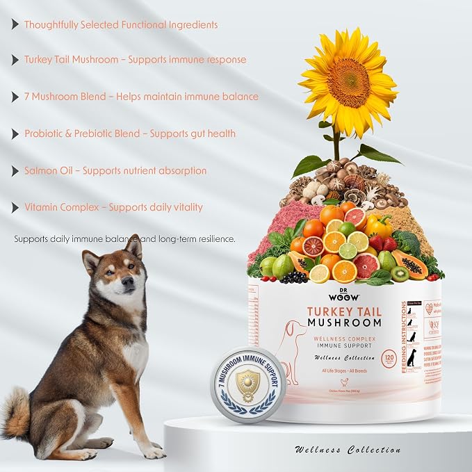 Turkey Tail Mushroom Chews for Dogs (120 Soft Chews) – Immune Support & Gut Health – 7 Mushroom Blend, Salmon Oil & Probiotics – Daily Wellness Supplement – Made in USA – Dr. Woow