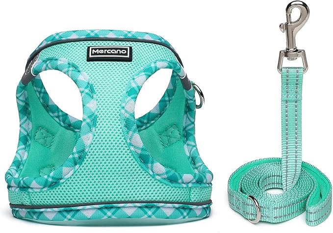 Mercano Soft Mesh Dog Harness and Leash Set, Step-in Reflective Breathable Lightweight Vest Harnesses with Safety Buckle for Small Dogs, Cats (Light Green, M)