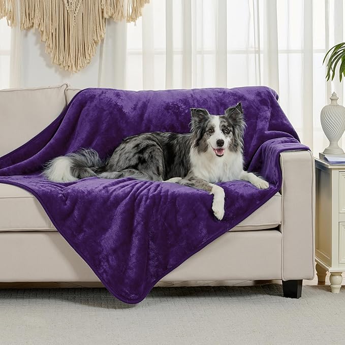 Waterproof Blanket for Bed Couch Sofa, Soft Liquid Pee Proof Pet Blanket for Dog Puppy Cat, Reversible Sherpa Fleece Furniture Protector (Dark Purple, 50x60 inches)