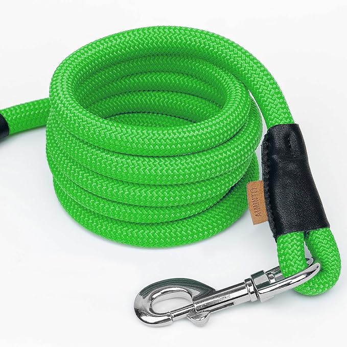 Dog Leash, Braided Rope Traction – Walking Training Lead for Small Dogs ((1/3") x 6FT, Light Green)