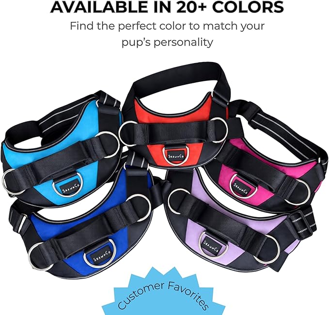 ShawnCo Essential Dog Harness, No-Pull Pet Vest with 3 Leash Clips, No Choke, Reflective, Adjustable and Padded, for Easy Walking and Training for Small, Medium and Large Dogs (Rose Gold, XS)