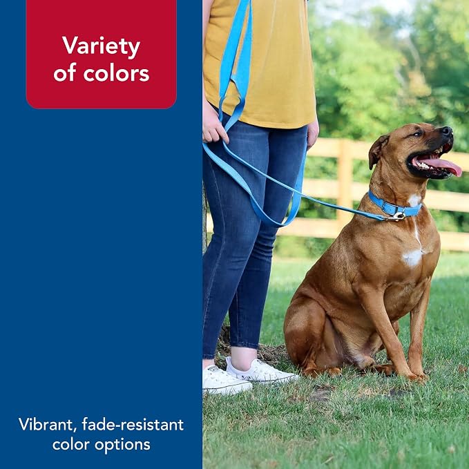 Coastal Pet Double-Ply Dog Leash - Bolt Snap Attachment to Collars and Harnesses - Nylon Dog Walking Leash for Small, Medium and Large Dogs - Pink Bright - 1" x 6'
