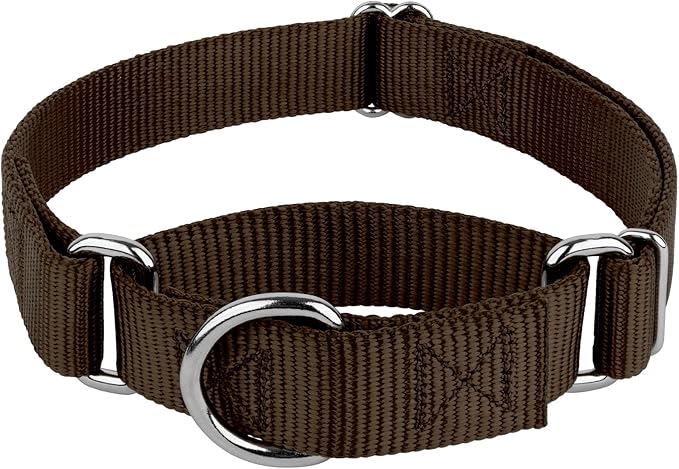 Country Brook Petz - Martingale Dog Collar - Heavy-Duty Training Collar with No Buckle - Service Dog Collar for All Pups - 20 Vibrant Colors (Brown, 3/8 Inch, 3XS)