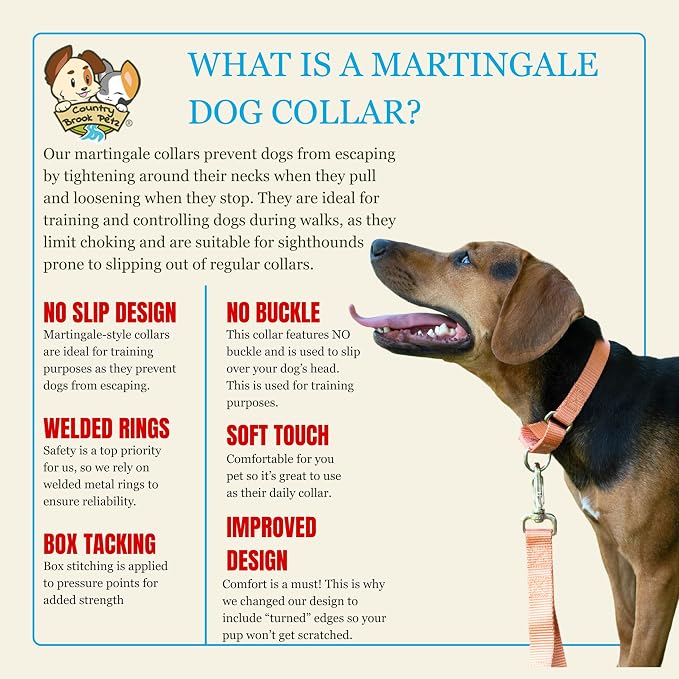 Country Brook Petz - Martingale Dog Collar - Heavy-Duty Training Collar with No Buckle - Service Dog Collar for All Pups - 20 Vibrant Colors (Mango, 5/8 Inch, Extra Small)