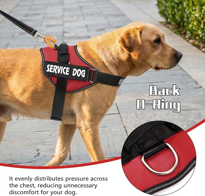 MUMUPET Service Dog Vest, No Pull Reflective Adjustable Harness with Handle, Soft Breathable Padding for Small Dogs, 2 Removable Velcro Patches (Red, XS)