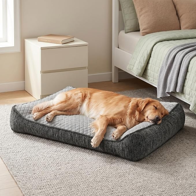 JOEJOY XL Orthopedic Dog Bed for Large Dogs Up to 80lbs - Extra Thick Foam Pet Bed Sofa with Bolster Sides, Large Sized Dog Bed with Removable Washable Cover, Non-Slip Bottom, Light Grey (42"x30")