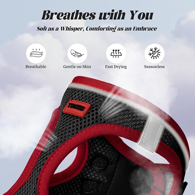 YIMEIS Dog Harness and Leash Set, No Pull Soft Mesh Pet Harness, Reflective Adjustable Puppy Vest for Small Medium Large Dogs, Cats (Black & red 01, X-Small (Pack of 1)