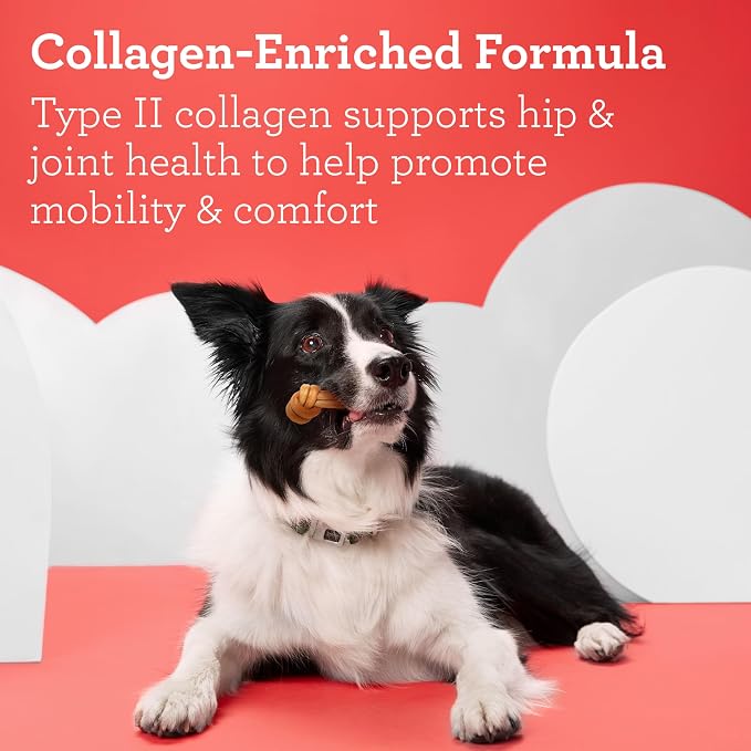 DreamBone CollaYUMS Knots Plus Collagen Chews for Dogs, 14 Count, Treat Your Dog to Rawhide-Free Chews Made with Chicken, Vegetables and Peanut Butter