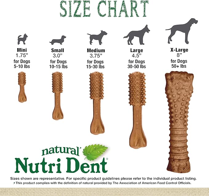 Nylabone Nutri Dent Dog Dental Chews - Natural Dog Teeth Cleaning & Breath Freshener - Dental Treats for Dogs - Filet Mignon Flavor, Small (28 Count) (Pack of 2)