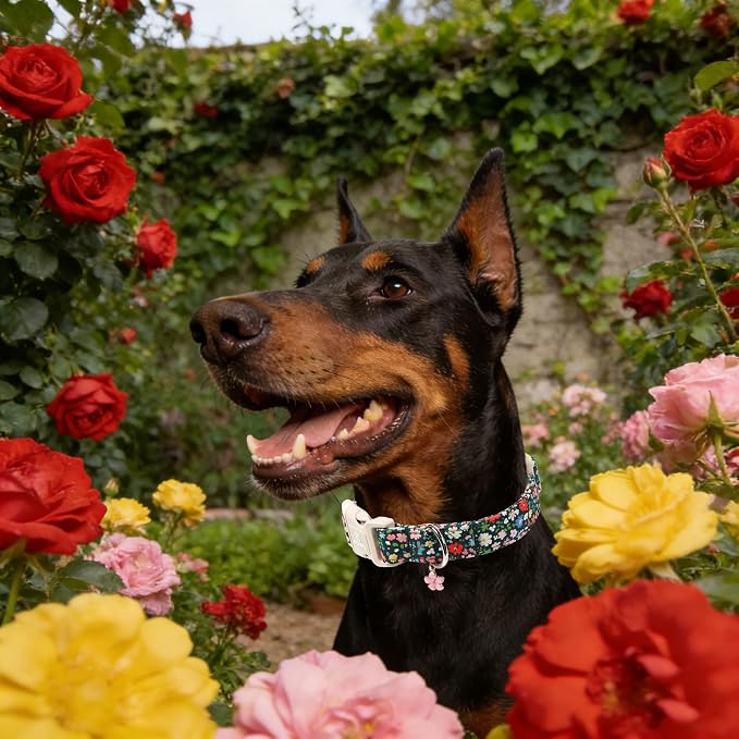 Maca Bates Spring Flower Basic Dog Collar with Blossom Charm for Medium Girl Boy Dogs, Dark Green Floral Pattern,Pretty Adjustable Durable Soft Flowers Collars Gift for Male Female Puppy