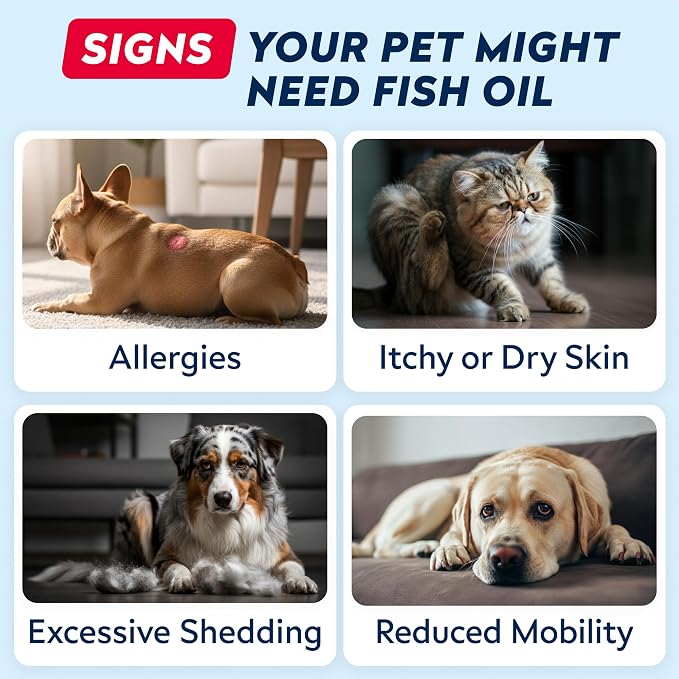 StrellaLab 64 OZ Salmon Oil for Dogs - Omega 3 for Dogs & Cats, Itch & Allergy Relief, Wild Alaskan Salmon Oil Dogs Skin & Coat, Dog Fish Oil Liquid, Shedding Supplement EPA & DHA Fatty Acids - 2Packs