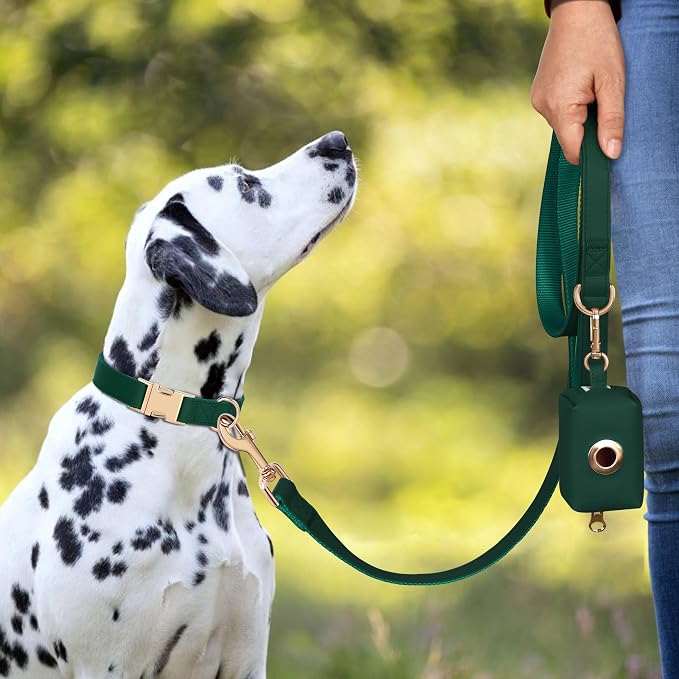 PET ARTIST Soft PU Leather Dog Collar, Bright Color & Durable Dog Collar Leather with Rose Gold Quick Release Metal Buckle, Adjustable Nylon Padded Pet Collars for Large Dogs, Neck Fit 16-27"