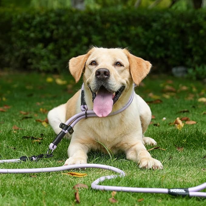 Rope Dog Leash, 6 Foot Heavy Duty Dog Leash with Aviation Aluminum Auto Locking Carabiner, Strong Nylon Pet Lead for Small, Medium, Large Dogs (Orange, 6FT)