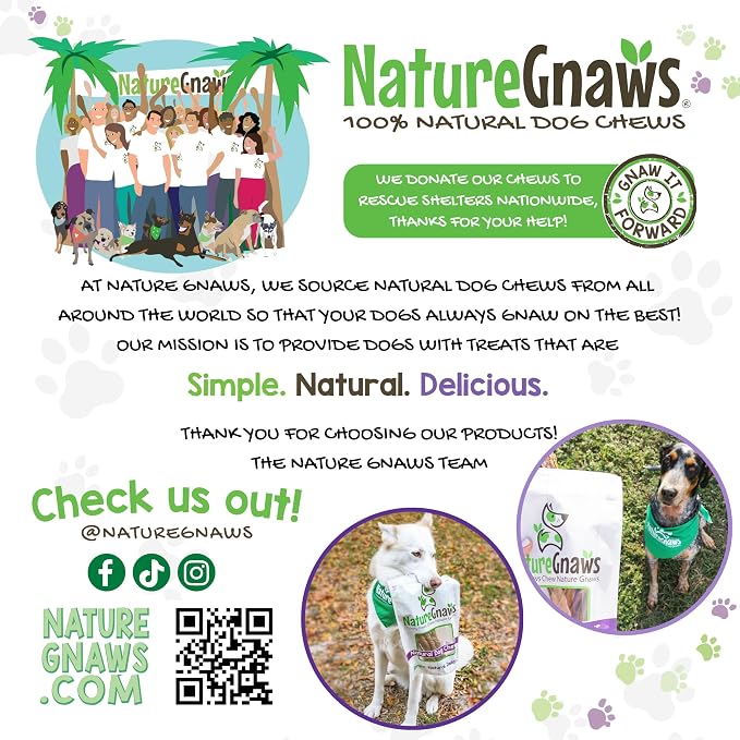 Nature Gnaws Thin Bully Sticks for Dogs 5-6" (8oz) - Mixed Thickness - Long Lasting for Small Dogs and Puppies - Natural Thin Beef Dog Chew Bones - Rawhide Free