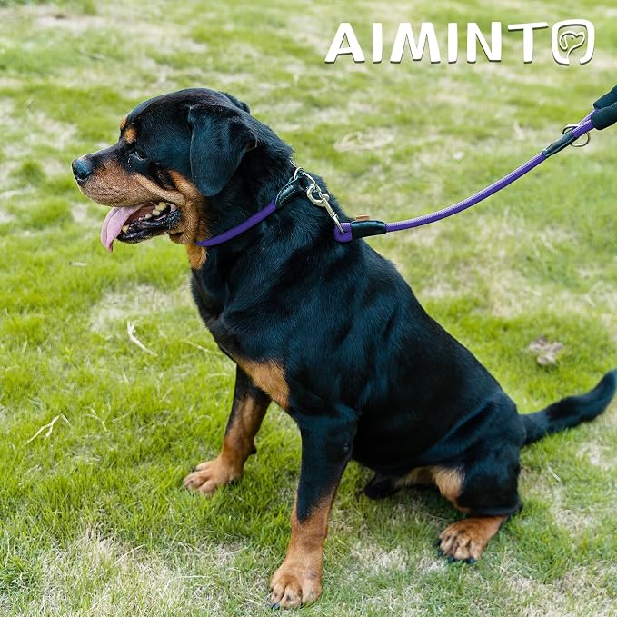 Dog Leash, Braided Rope Traction – Walking Training Lead for Small Dogs ((1/3") x 6FT, Purple)