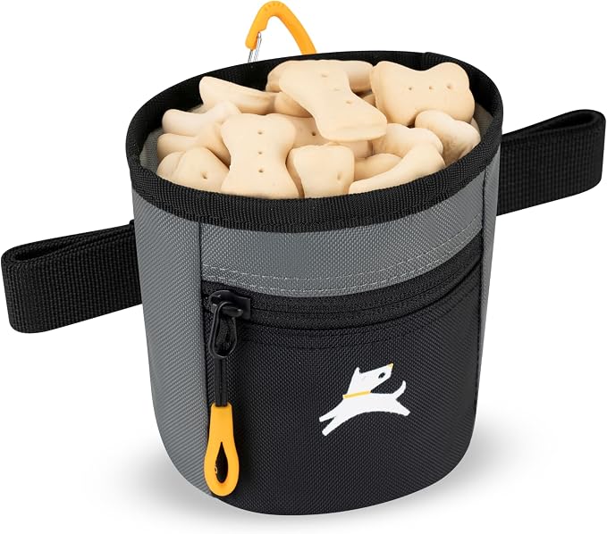 OllyDog, Goodie Treat Bag, Dog Treat Training Pouch | Magnetic Closure | 3 Ways to Wear | Hands-Free Waist Belt | Water-Resistant Recycled Vegan Fabric (Castle Rock)