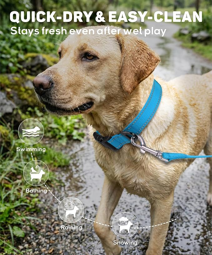 TagME Reflective Nylon Dog Collars, Adjustable Classic Pet Collar with Quick Release Buckle for Medium Dogs, Grey, 1.0" Width