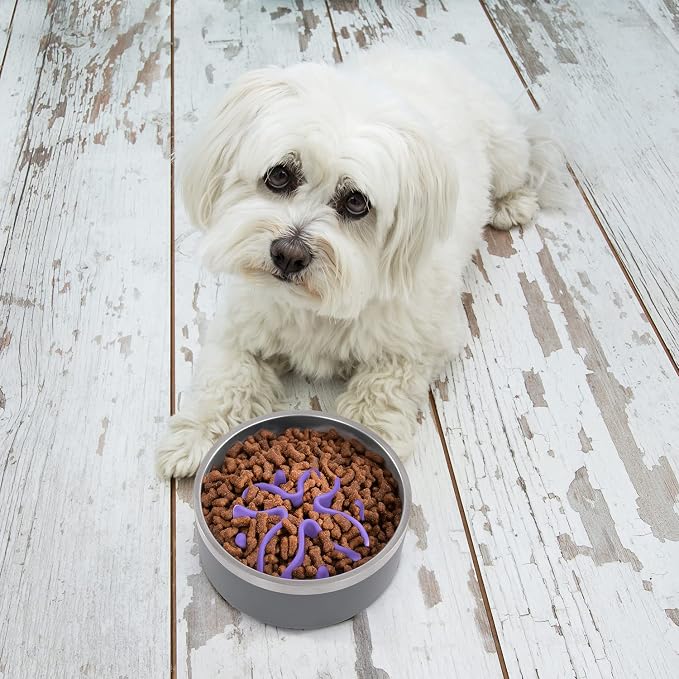 Jaoul Slow Feeder Dog Bowls Insert, Puzzle Slow Feeder Insert with 21 Octopus Suction Cups for Small Breed Dog Food Bowls (4 inch, Purple)