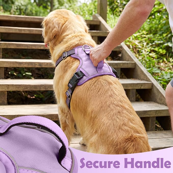 Funfox Dog Harness No Pull, Adjustable Pet Vest Harness, Super Soft Material with Vertical Handle Easy Control, Reflective Night Walking, 2 Leash Clips for Large Dogs, Purple, L