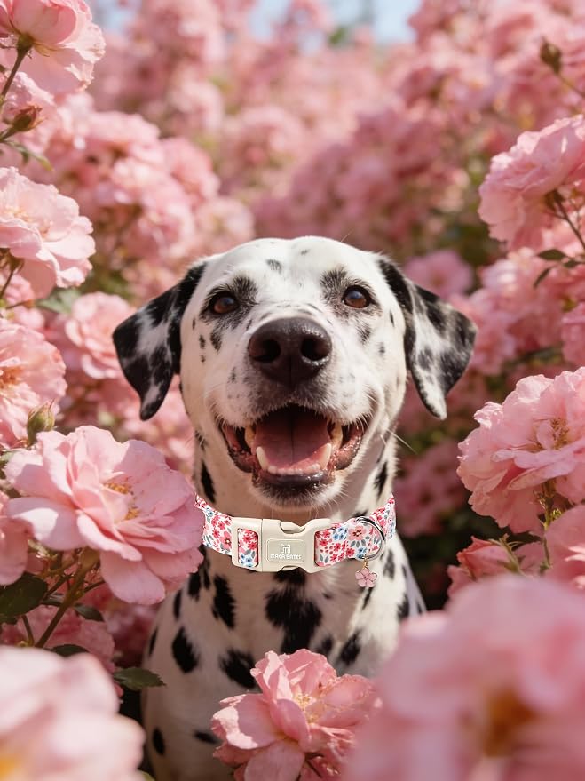 Maca Bates Pink Floral Basic Dog Collar with Cute Flower Charm for Small Girl Boy Dogs, Girly Pastel Blossom Pattern,Adjustable Durable Soft Collars Spring Gift for Female Puppy