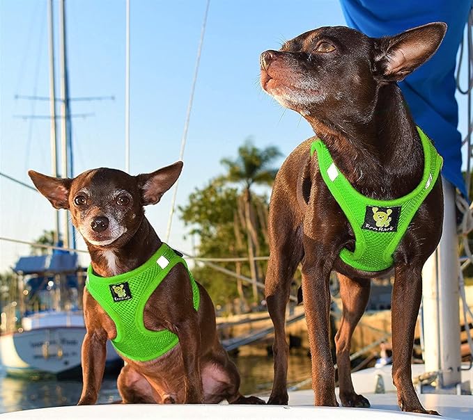 EcoBark Rapid Fastener Super Comfort Fully Adjustable Double Padded Step in Dog Harness (Small, Green)