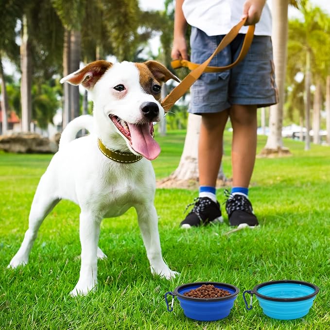 2-Pack Small Dog Travel Bowl, Collapsible Bowls for Dogs, Foldable Cat Water Bowl, Portable Pet Feeding Watering Traveling Dish (Light Blue & Dark Blue)
