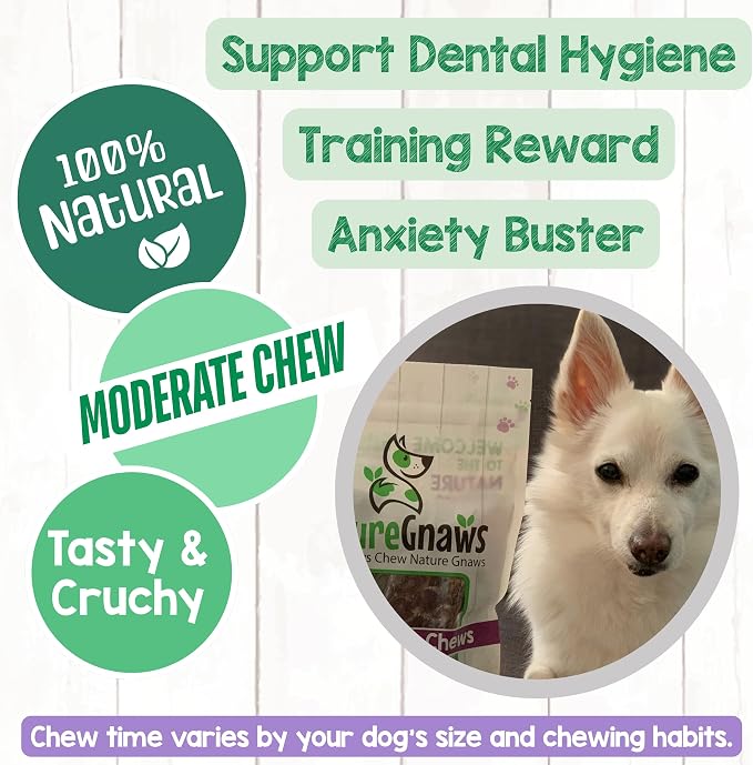 Nature Gnaws Beef Trachea Chews for Dogs 3" (12 Count) - Long Lasting Natural Crunchy Dog Chew Bones - Rawhide Free