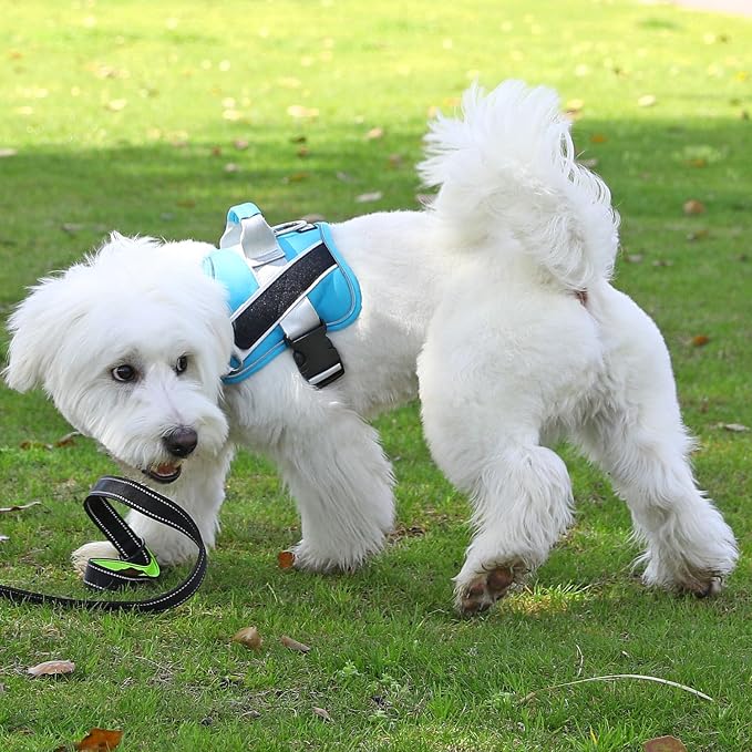 Dog Harness, No-Pull Reflective Dog Vest, Breathable Adjustable Pet Harness with Handle for Outdoor Walking - No More Pulling, Tugging or Choking (OceanicBlue, X-Small (Pack of 1))