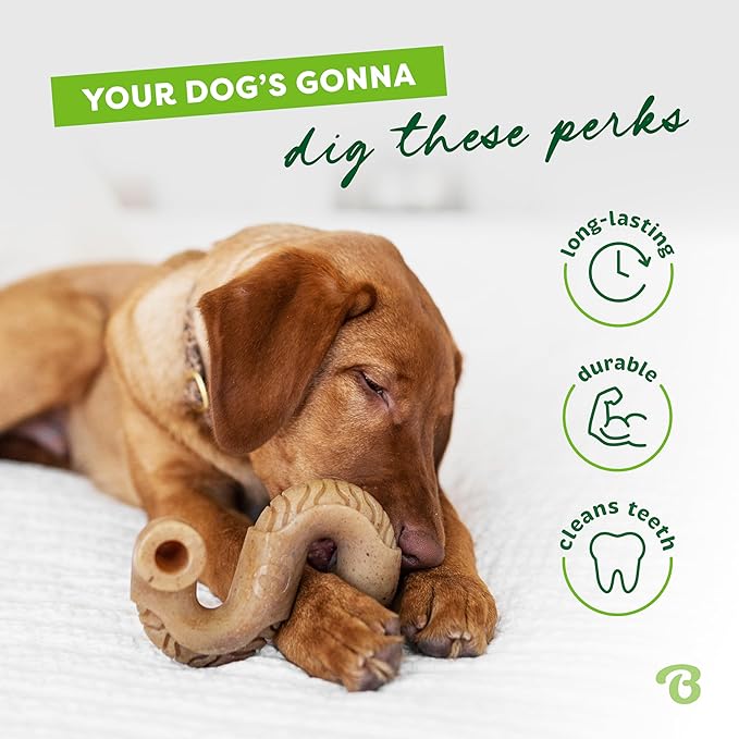 Benebone Tripe Bone Durable Dog Chew Toy for Aggressive Chewers, REAL Beef, Made in USA, Medium