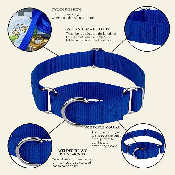 Country Brook Petz - Martingale Dog Collar - Heavy-Duty Training Collar with No Buckle - Service Dog Collar for All Pups - 20 Vibrant Colors (Royal Blue, 1 Inch, Large)