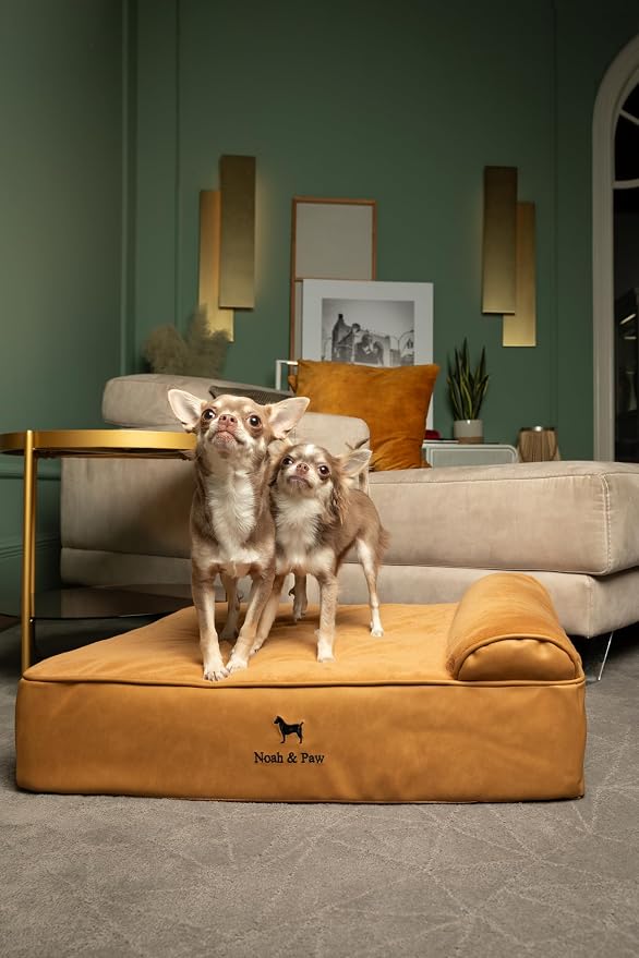 NOAH & PAW Dog Bed, 28x23x7.5 Inch, Orthopedic Dog Beds for Medium Size Pets, Eggshell Memory Foam Infused with Cooling Gel, Water Resistant, Machine Washable, Includes Inner Cover (Faux Leather)