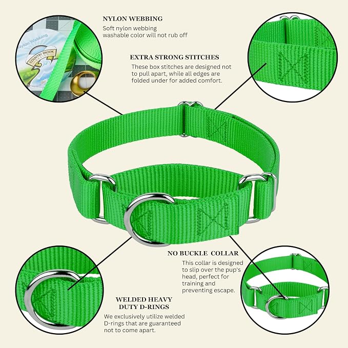 Country Brook Petz - Martingale Dog Collar - Heavy-Duty Training Collar with No Buckle - Service Dog Collar for All Pups - 20 Vibrant Colors (Hot Lime Green, 3/8 Inch, 3XS)