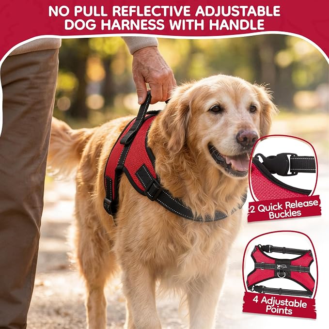 No Pull Reflective Adjustable Dog Harness With Handle- Comfortable Soft All Weather Mesh, Easy On Puppy Harness For Small Medium and Large Dogs (Red) X-Small