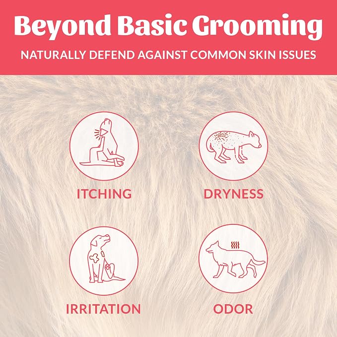 Skout's Honor Probiotic Dog Shampoo & Conditioner with Avocado Oil & Omega-3s, 97% Natural, Paraben & Sulfate-Free, Cruelty-Free, 16oz, Sunkissed Coconut, 2-Pack