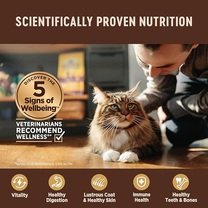 Wellness CORE Tiny Tasters Pate Adult Wet Cat Food, Natural, Protein Rich, Grain Free, Tuna Recipe, 1.75 oz, Pack of 12 Pouches