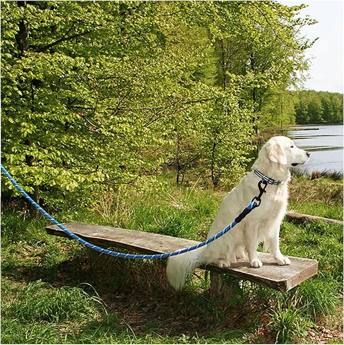 MayPaw Heavy Duty Rope Dog Leash, 3/6/8/10/12/15/20/30 FT Long Dog Lead Nylon Pet Leash, Soft Padded Handle Thick Lead Training Leashes for Large Medium Dogs (20ft * 1/2", Blue Black)