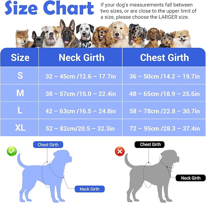 Funfox Dog Harness No Pull, Adjustable Pet Vest Harness, Super Soft Material with Vertical Handle Easy Control, Reflective Night Walking, 2 Leash Clips for Small Sized Dogs, Blue, S