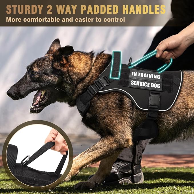 WINSEE Tactical Dog Harness for Large Dog, Heavy Duty Service Dog MOLLE Vest with 10 Pet Patches, No Pull Military Working Vest for Training Hunting Walking