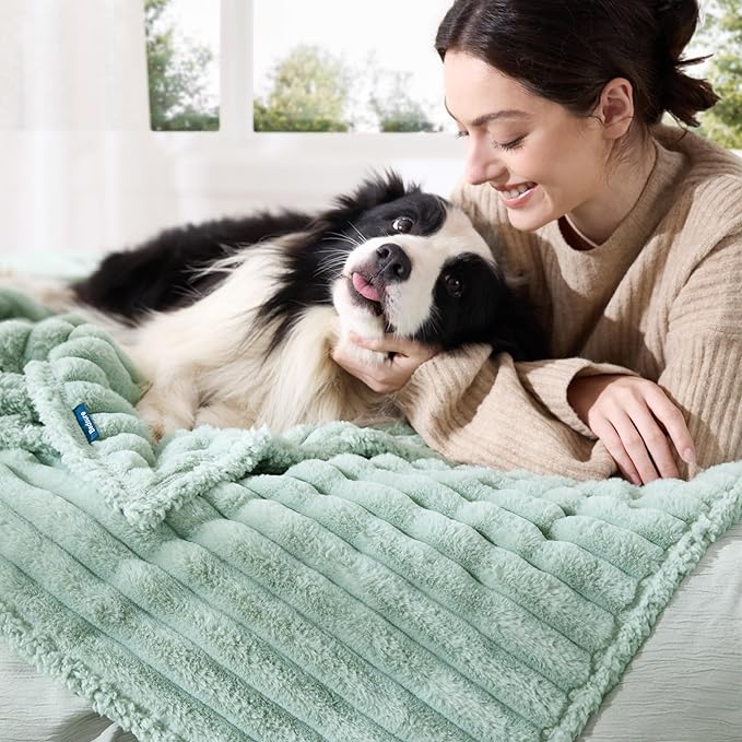 Bedsure ComfyFleece™ Waterproof Dog Blankets for Large Dogs - Soft Pet Cat Blanket Corduroy Fleece for Couch Bed Protector Washable, Cozy Calming Reversible Furniture Protection,50"x60", Garden Green